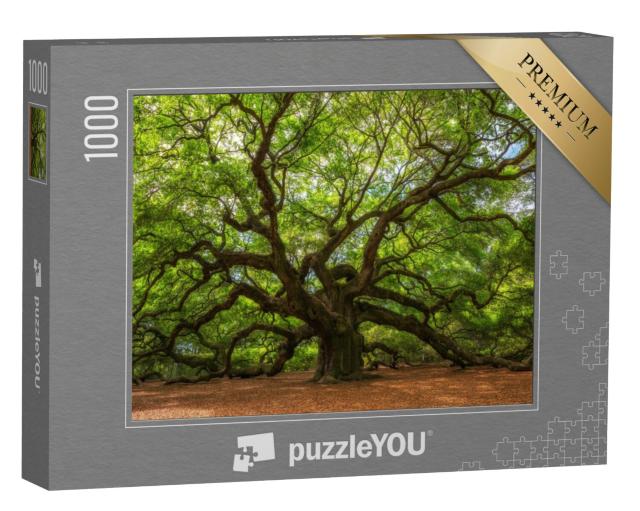 Puzzel 1000 stukjes „Wuivende lijkenboom in Johns Island, South Carolina“