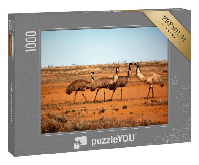 Puzzle 1000 Teile „Emus in freier Wildbahn, Outback New South Wales, Australien.“