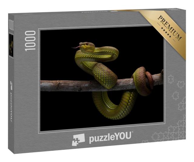 Puzzle 1000 Teile „Giftige Schlange, endemisches Reptil in Java“