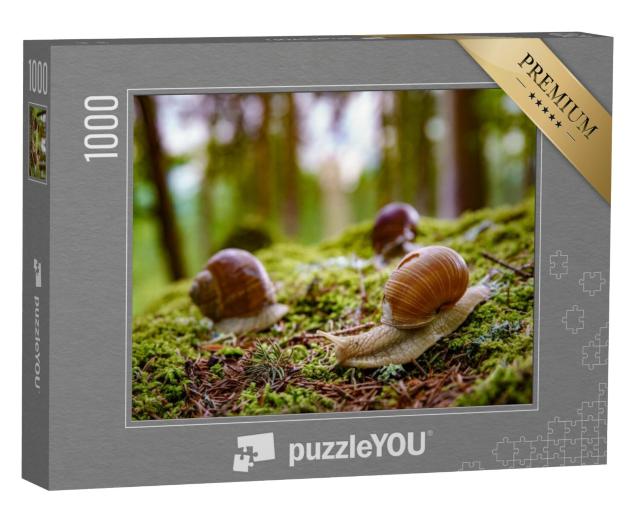 Puzzel 1000 stukjes „Wijngaardslakken in de natuur“