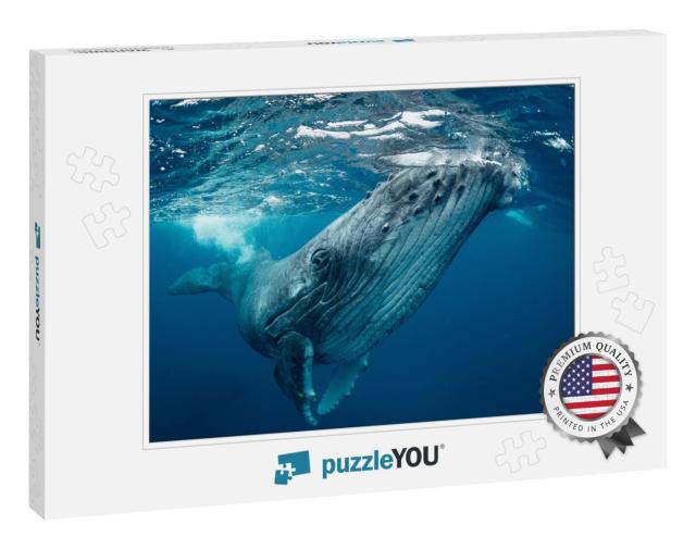 Whale Nature Tonga... Jigsaw Puzzle
