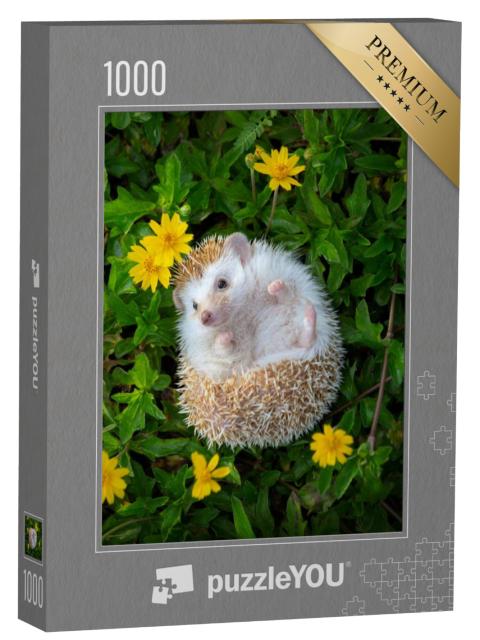 Puzzel 1000 stukjes „Een egeltje in de bloementuin“