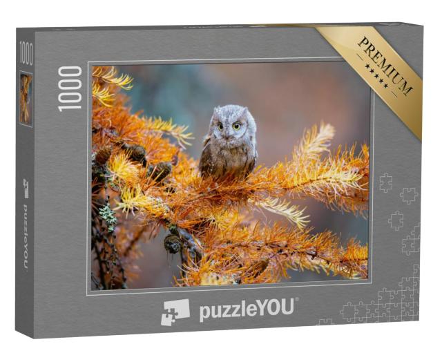 Puzzel 1000 stukjes „Scops uil, Otus scops, een typische uil“