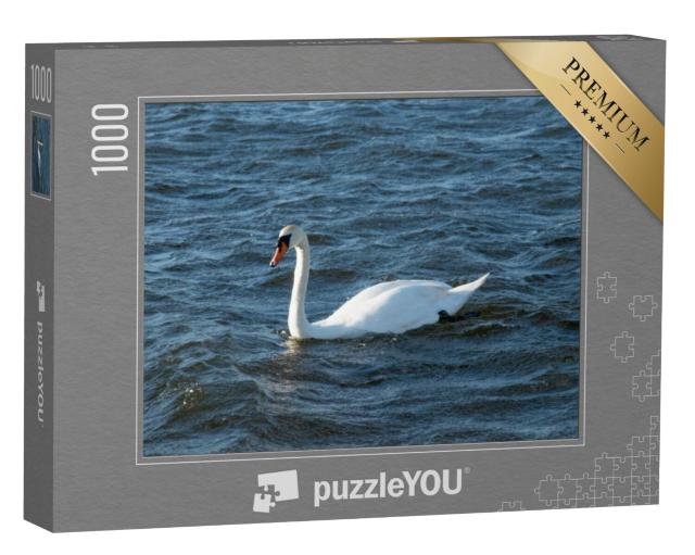 Puzzel 1000 stukjes „Prachtige witte zwanen zwemmen in het Veluwemeer“