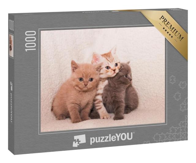 Puzzle 1000 Teile „Drei süße Kätzchen auf einem weißen Plaid“