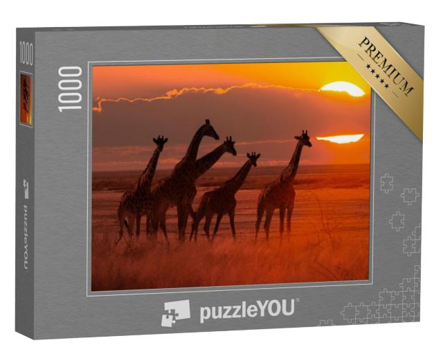 Puzzel 1000 stukjes „Kudde giraffen bij zonsondergang, savanne in Afrika“