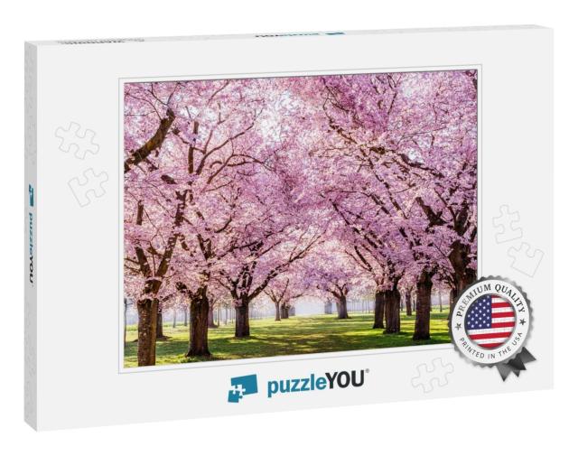 Sakura Cherry Blossoming Alley. Wonderful Scenic Park wit... Jigsaw Puzzle