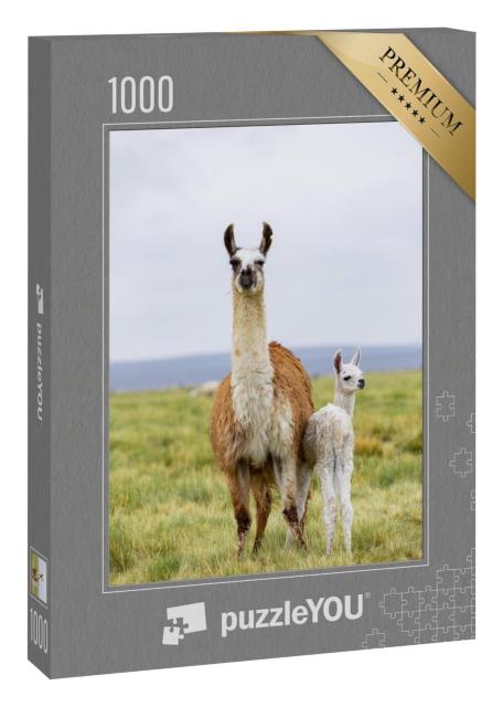 Puzzle 1000 Teile „Lama mit Baby auf dem Altiplano in Bolivien“