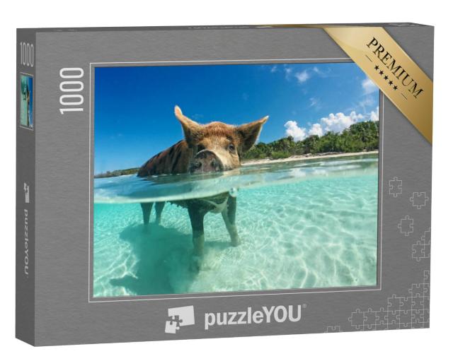 Puzzel 1000 stukjes „Waterminnende wilde zwijnen op de Bahama's, Caribisch gebied“