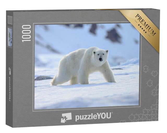 Puzzel 1000 stukjes „Een ijsbeer, Ursus maritimus“