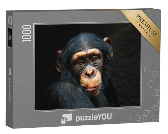 Puzzel 1000 stukjes „Portret van een chimpansee“