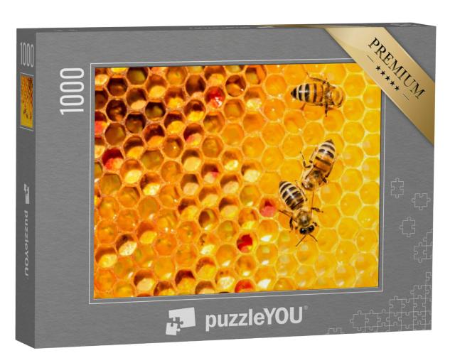 Puzzel 1000 stukjes „Close-up van bijen op een honingraat“