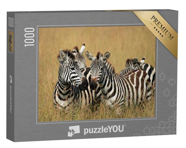 Puzzel 1000 stukjes „Steppezebra's op de savanne, Maasai Mara, Kenia“