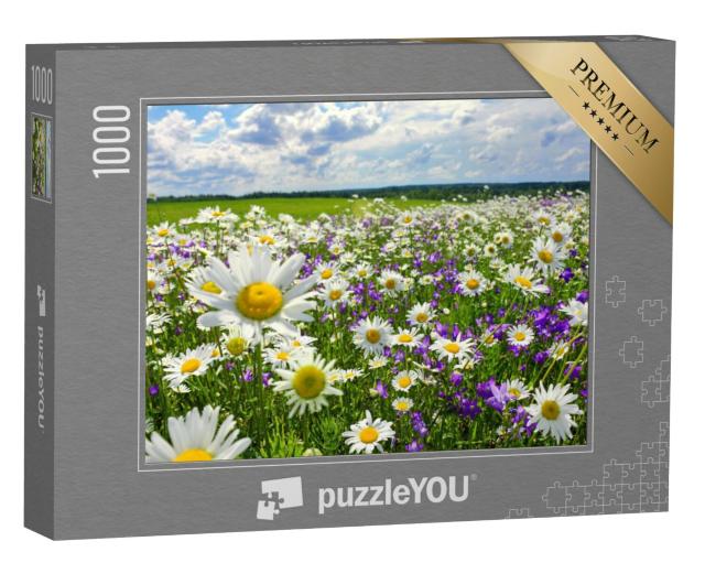 Puzzel 1000 stukjes „Zomerlandschap met bloeiende weide en bloemen“