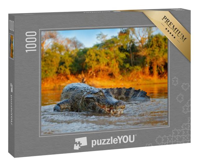 Puzzle 1000 Teile „Krokodil am Flussufer, Bolivien“