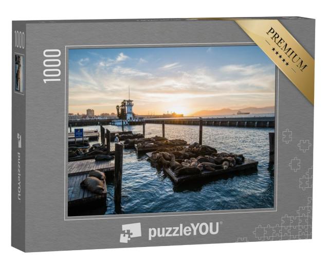 Puzzel 1000 stukjes „Zeeleeuwen bij Pier 39, San Francisco, Californië, VS“