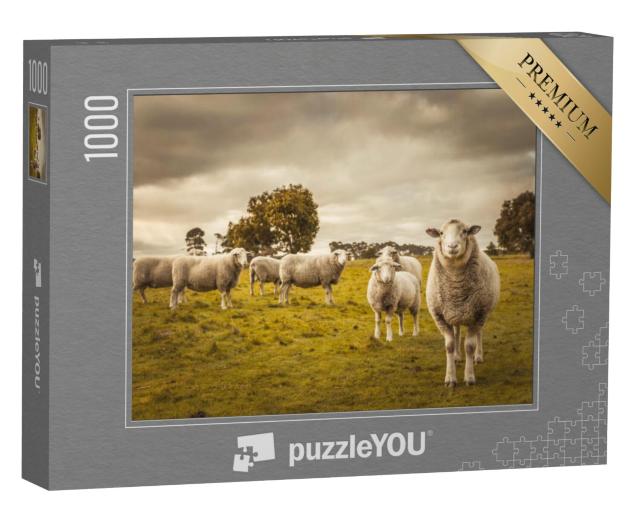 Puzzel 1000 stukjes „Schapen in de wei“