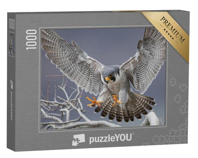 Puzzel 1000 stukjes „Slechtvalk in New Jersey“