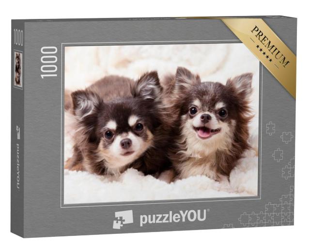 Puzzel 1000 stukjes „Schattige Chihuahua hondjes op een deken“