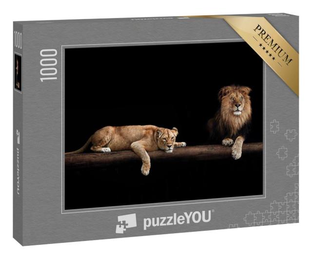 Puzzle 1000 Teile „Löwe und Löwin“