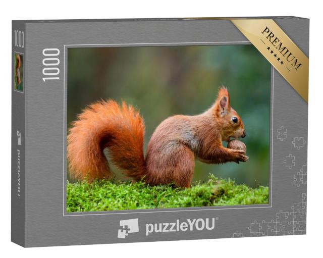 Puzzel 1000 stukjes „Een rode eekhoorn eet een noot op een mosstengel“