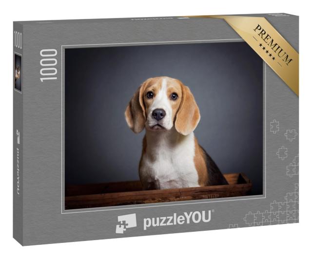 Puzzle 1000 Teile „Bezauberndes Porträt eines blauen Beagle-Welpen“