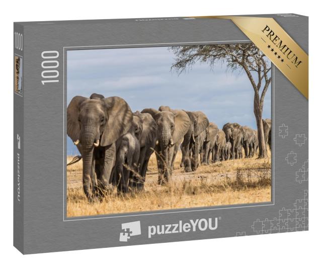 Puzzle 1000 Teile „Elefantenherde in Afrika, Tarangire-Nationalpark, Tansania“