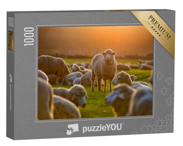 Puzzel 1000 stukjes „Schaapskudde bij zonsondergang“