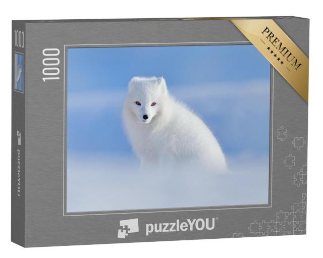 Puzzel 1000 stukjes „Arctische witte vos in zijn natuurlijke habitat, Spitsbergen, Noorwegen“