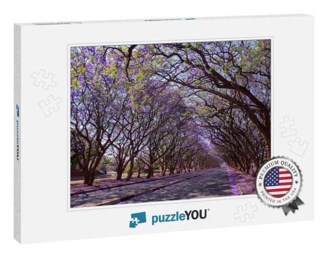 Blooming Jacaranda Trees Lining Milton Avenue, Harare, Zi... Jigsaw Puzzle