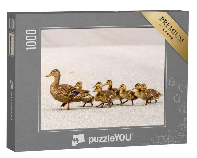 Puzzel 1000 stukjes „Een moedereend en haar eendjes“