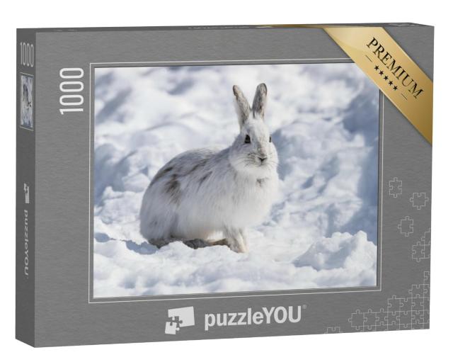 Puzzel 1000 stukjes „Witte sneeuwschoenhaas in de winter“