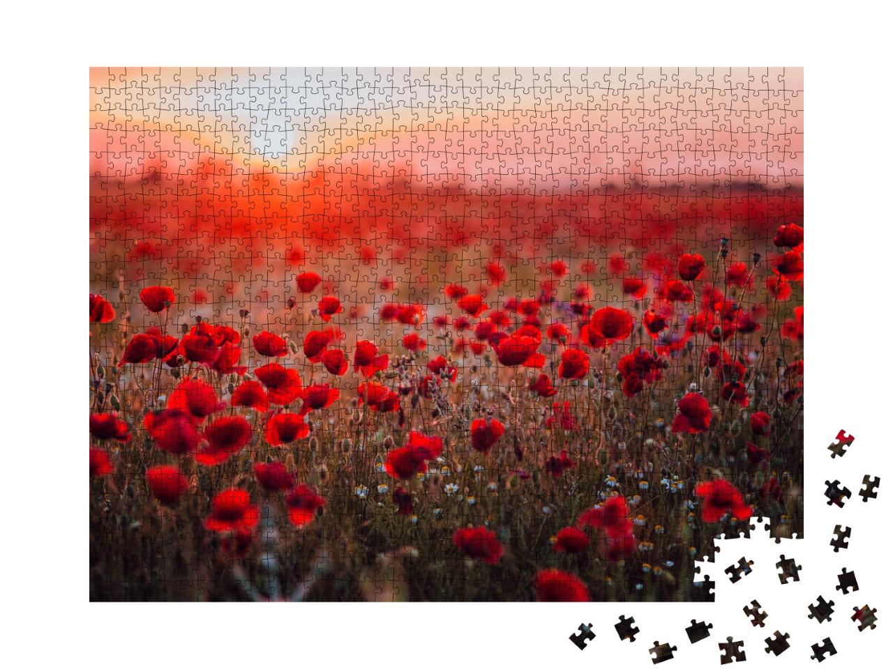 Puzzle 1000 Teile „Mohnblumenfeld im Sonnenuntergang“