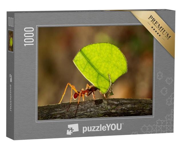 Puzzel 1000 stukjes „De bladsnijmier draagt een blad naar zijn nest“