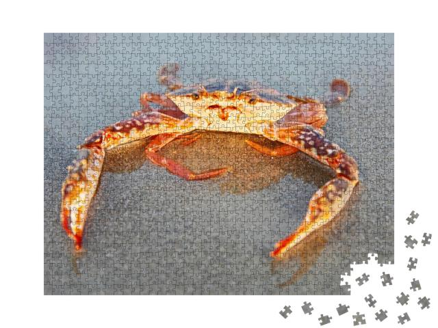 Puzzle 1000 Teile „Rote Krabbe am Strand von Goa, Indien“