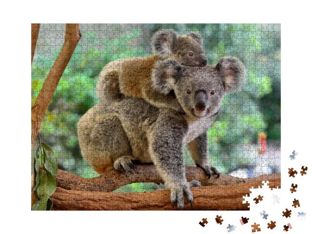 Puzzle 1000 Teile „Koala-Mutter mit Baby auf dem Rücken auf einem Eukalyptusbaum“