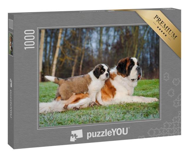 Puzzle 1000 Teile „Erwachsene und junge Bernhardinerhunde“