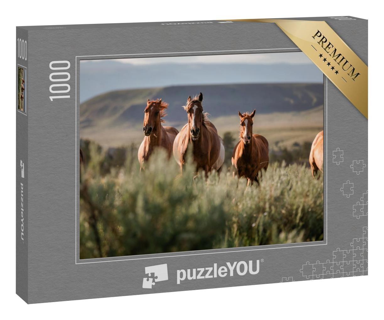 Puzzle 1000 Teile „Wunderschöne amerikanische Quarter Horse Ranch Pferde, Wyoming“