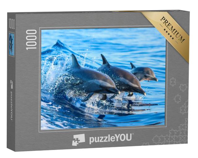 Puzzel 1000 stukjes „Familie van gevlekte dolfijnen springt uit het heldere water voor Hawaii“