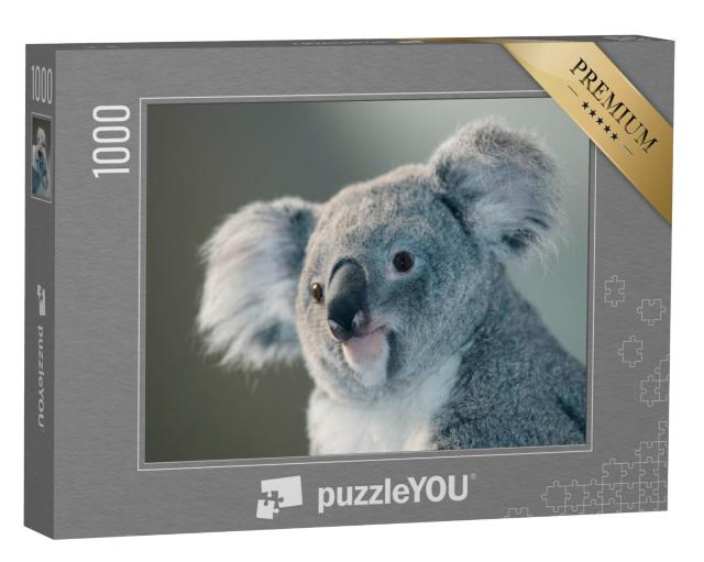 Puzzel 1000 stukjes „Portret van een koala“