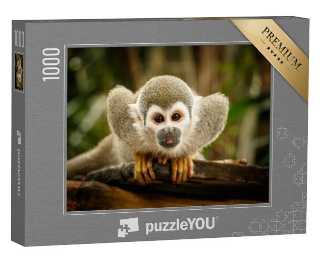 Puzzel 1000 stukjes „Doodshoofdaapjes in het Amazonegebied“