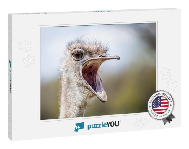 Ostrich with Mouth Wide Open as If Shouting... Jigsaw Puzzle