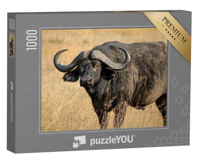 Puzzel 1000 stukjes „Afrikaanse buffel of Kaapse buffel, een van de Big Five“