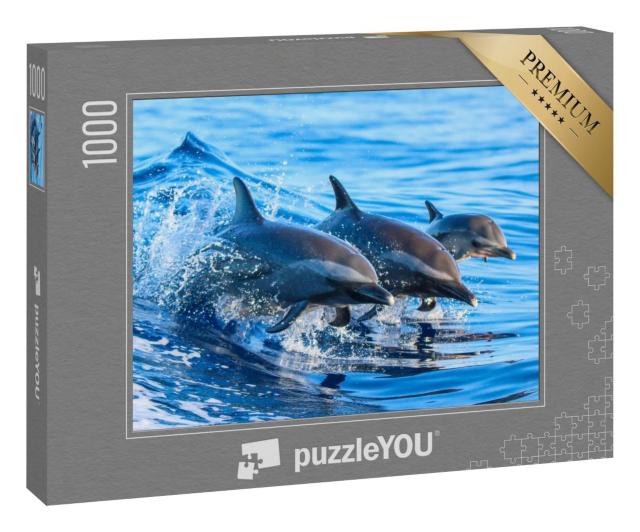 Puzzle 1000 Teile „Familie von Fleckendelfinen springt aus dem klaren blauen Wasser vor Hawaii“