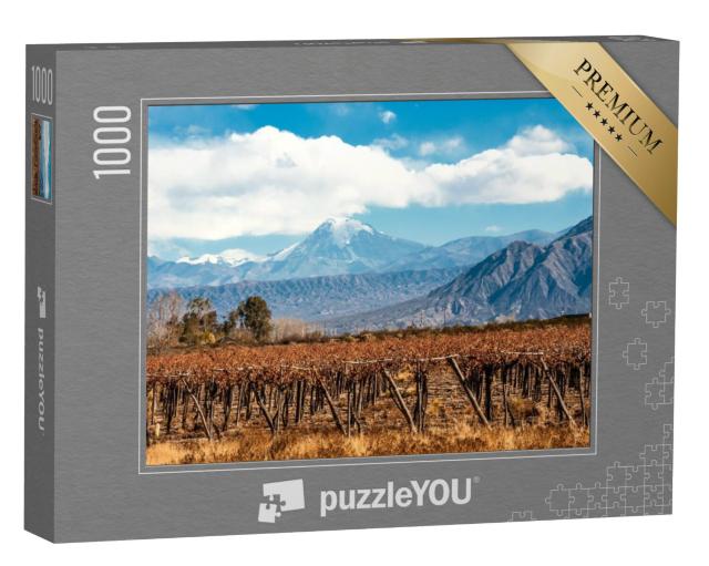 Puzzel 1000 stukjes „Aconcagua vulkaan en wijngaard, Andes, Argentinië“