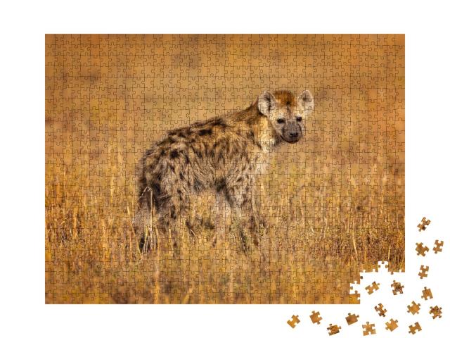 Puzzle 1000 Teile „Tüpfelhyäne, auch bekannt als lachende Hyäne, heimisch in Afrika“