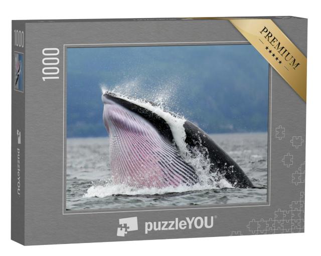 Puzzel 1000 stukjes „Dwergvinvis in Tadoussac Québec“