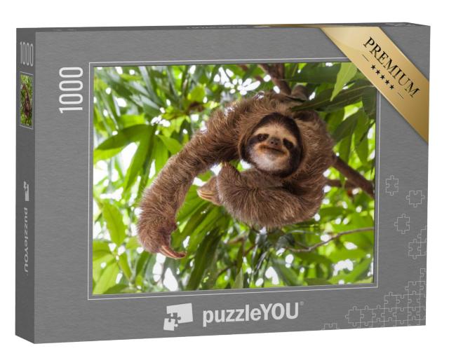 Puzzel 1000 stukjes „Luiaard in zijn natuurlijke omgeving“