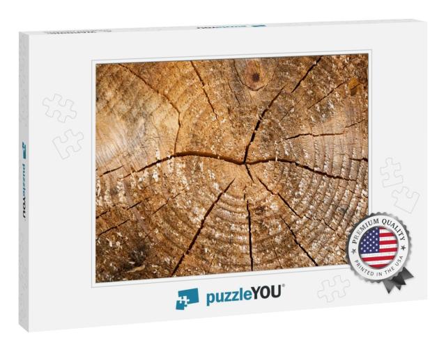 Tree Rings Old Weathered Wood Texture with the Cross Sect... Jigsaw Puzzle