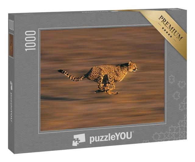 Puzzle 1000 Teile „Gepard in vollem Lauf“